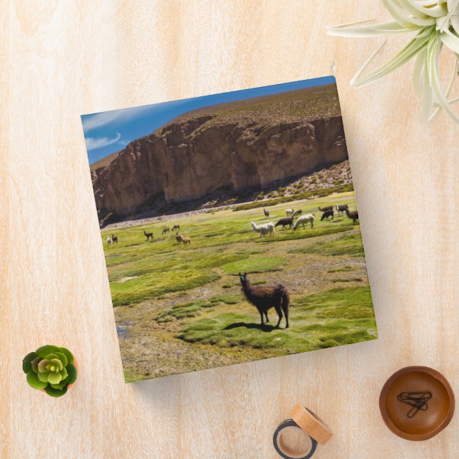 Mountains | Bolivian Andes 3 Ring Binder (In Situ)