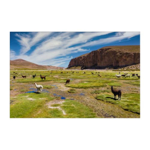 Mountains  Bolivian Andes Acrylic Print