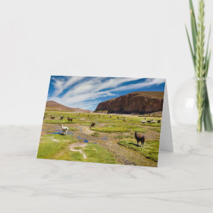 Mountains Bolivian Andes Card