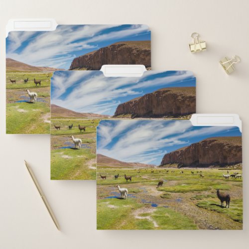Mountains  Bolivian Andes File Folder