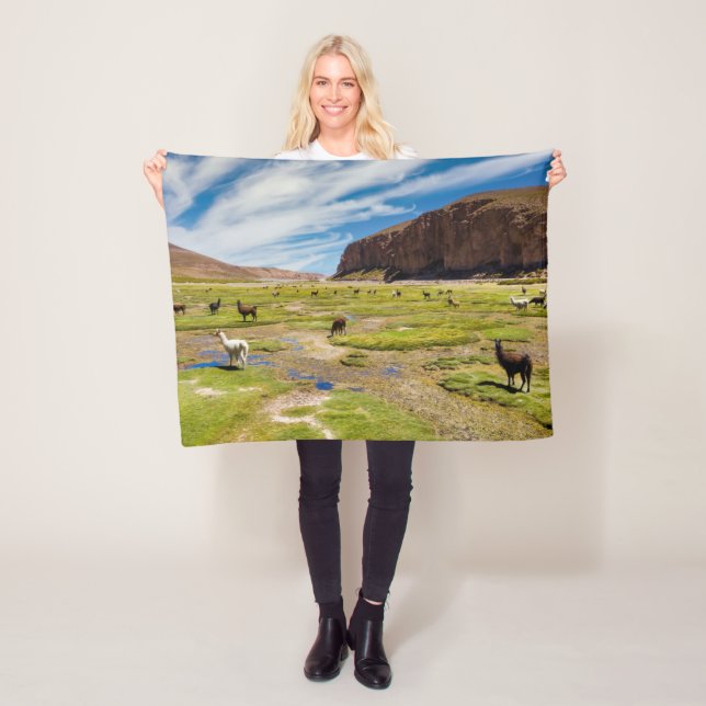 Mountains | Bolivian Andes Fleece Blanket (In Situ)