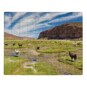 Mountains   Bolivian Andes Jigsaw Puzzle