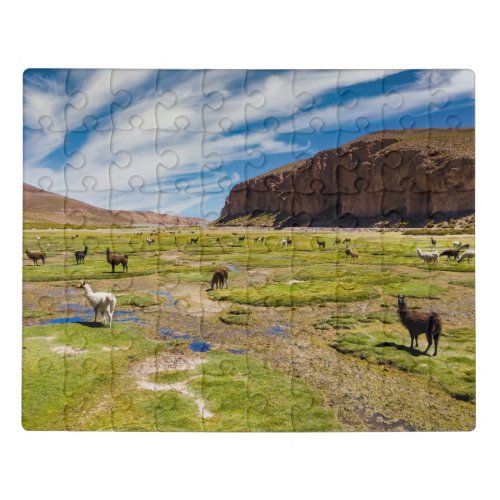 Mountains  Bolivian Andes Jigsaw Puzzle