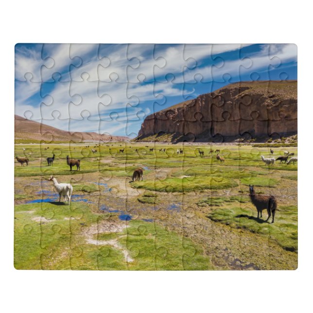 Mountains | Bolivian Andes Jigsaw Puzzle (Puzzle Horizontal)