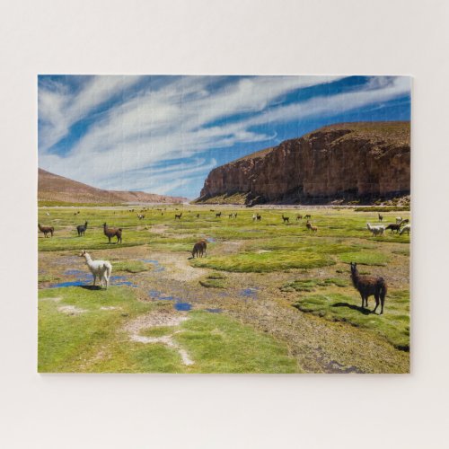 Mountains  Bolivian Andes Jigsaw Puzzle