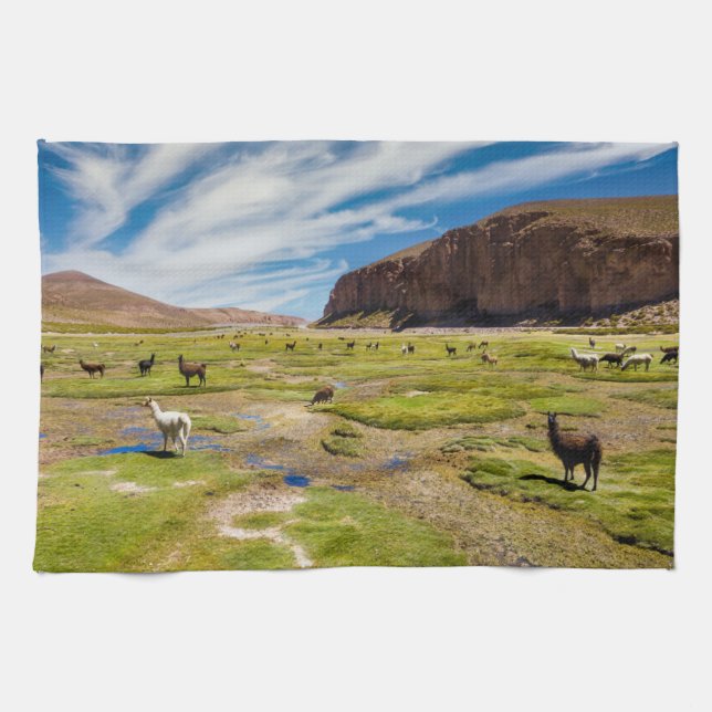 Mountains | Bolivian Andes Kitchen Towel (Horizontal)