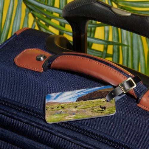 Mountains  Bolivian Andes Luggage Tag