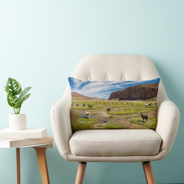 Mountains | Bolivian Andes Lumbar Pillow (Chair)