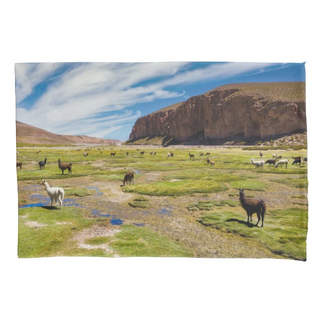 Mountains | Bolivian Andes Pillow Case (Front)