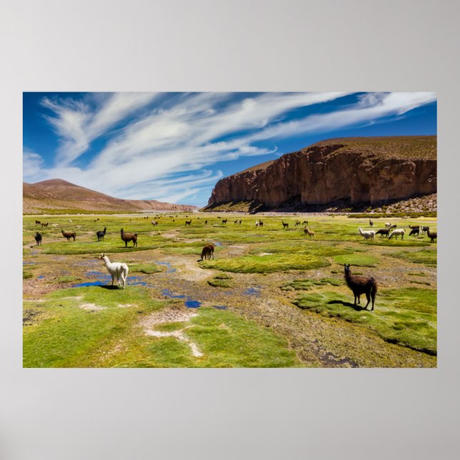 Mountains | Bolivian Andes Poster (Front)