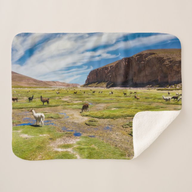 Mountains | Bolivian Andes Sherpa Blanket (Front (Horizontal))