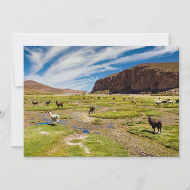 Mountains | Bolivian Andes Thank You Card (Front)