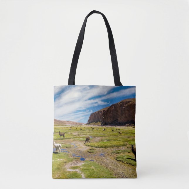 Mountains | Bolivian Andes Tote Bag (Front)