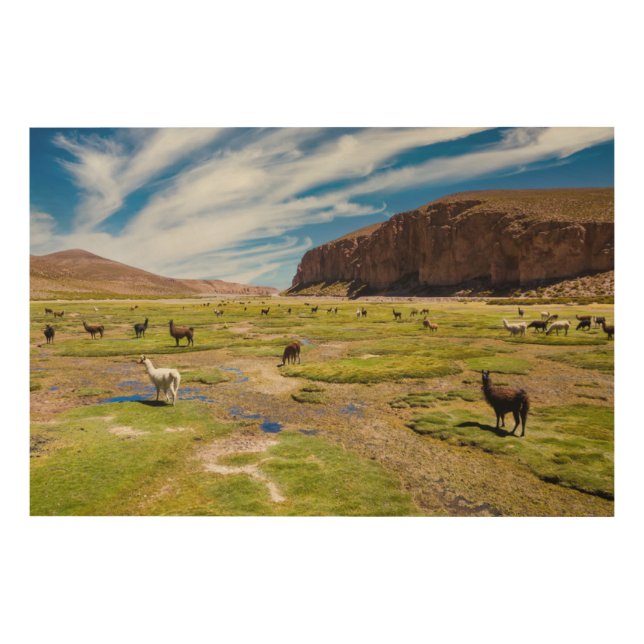Mountains | Bolivian Andes Wood Wall Art (Front)