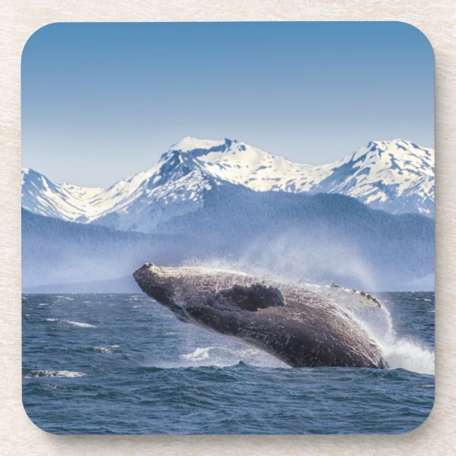 Mountains | Breaching Whale Glacier Bay, Alaska Beverage Coaster (Front)