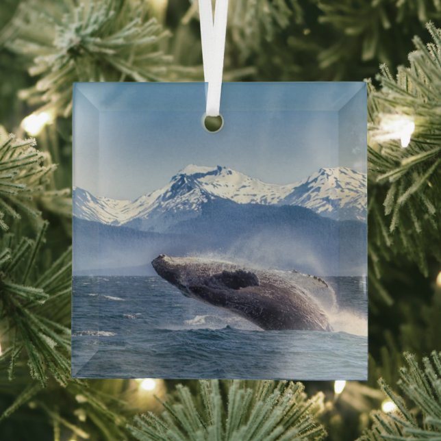 Mountains | Breaching Whale Glacier Bay, Alaska Glass Ornament (Insitu)
