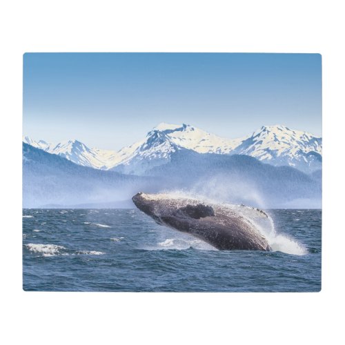 Mountains  Breaching Whale Glacier Bay Alaska Metal Print