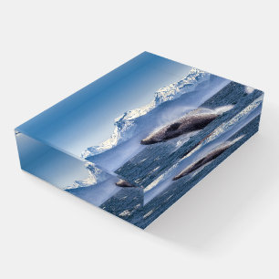 Mountains Breaching Whale Glacier Bay, Alaska Paperweight
