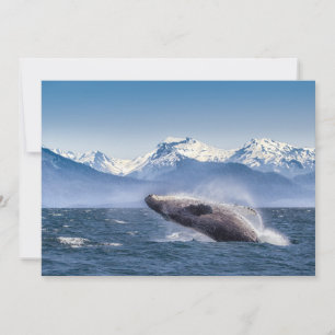 Mountains   Breaching Whale Glacier Bay, Alaska Thank You Card