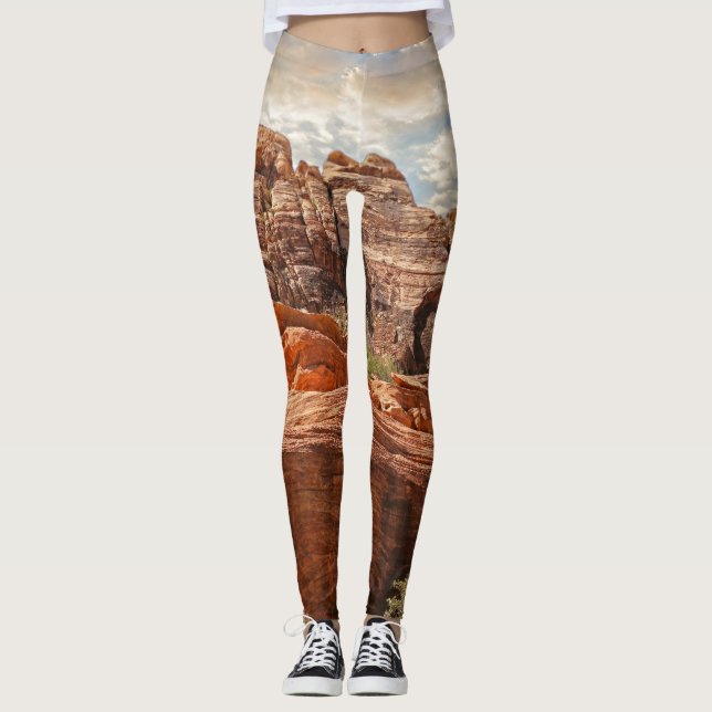 Mountains HDR photo Leggings (Front)