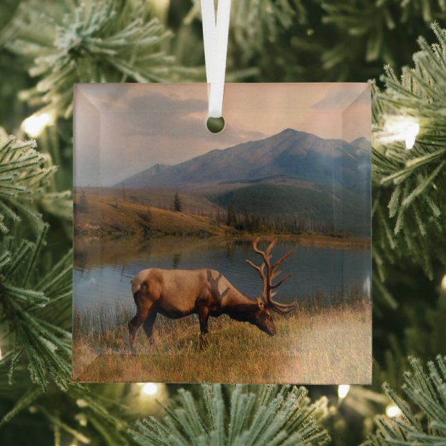 Mountains | Jacques Mountain Range Alberta Canada Glass Ornament (Insitu)