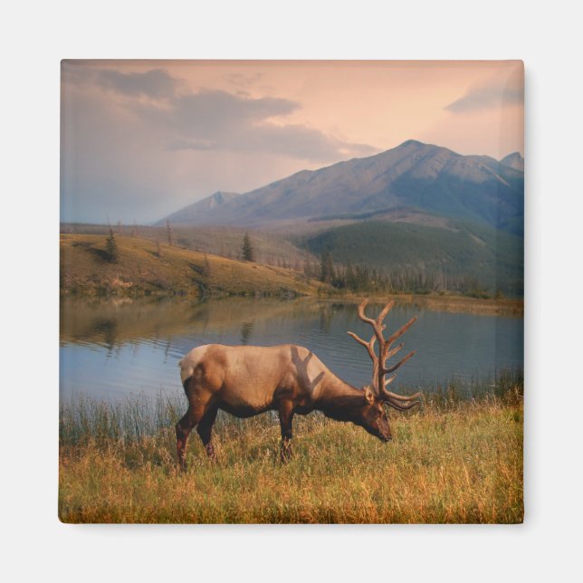 Mountains | Jacques Mountain Range Alberta Canada Magnet (Front)