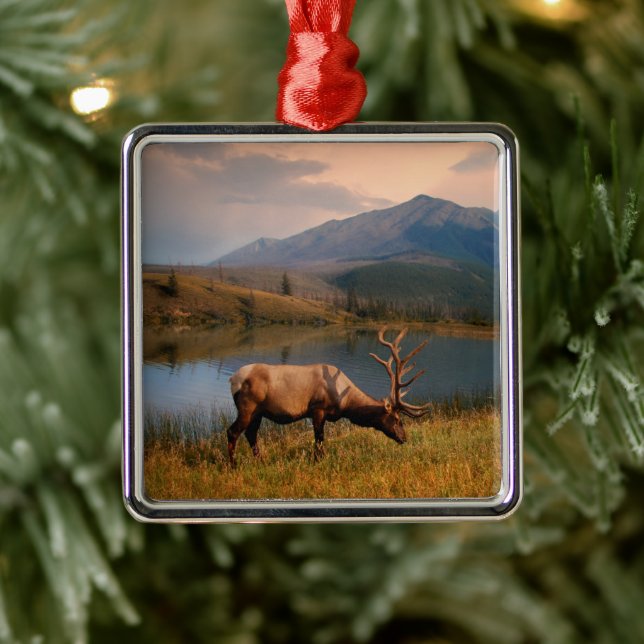 Mountains | Jacques Mountain Range Alberta Canada Metal Ornament (Tree)