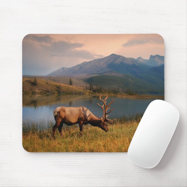 Mountains | Jacques Mountain Range Alberta Canada Mouse Pad (With Mouse)