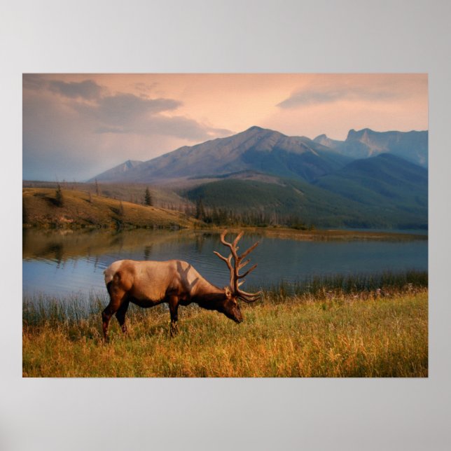 Mountains | Jacques Mountain Range Alberta Canada Poster (Front)