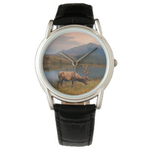 Mountains Jacques Mountain Range Alberta Canada Watch