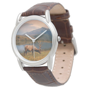 Mountains Jacques Mountain Range Alberta Canada Watch