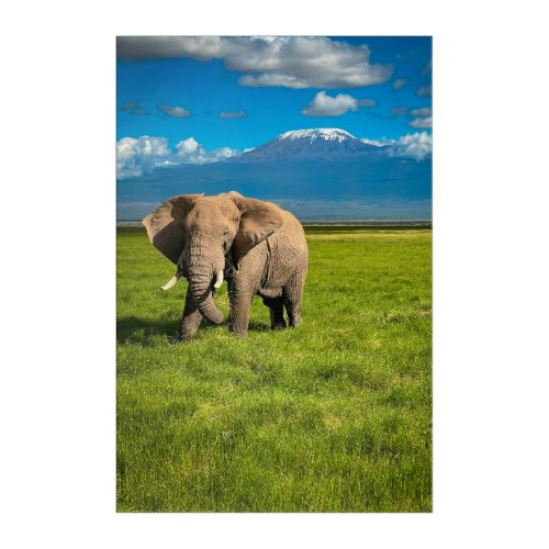 Mountains  Mount Kilimanjaro Tanzania Africa Acrylic Print