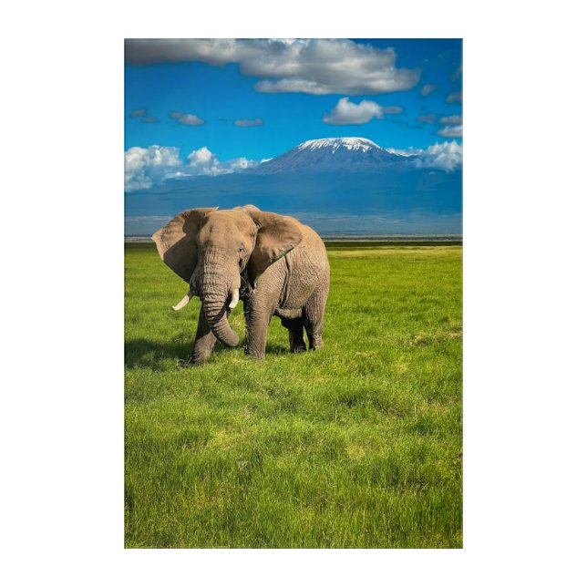 Mountains | Mount Kilimanjaro Tanzania, Africa Acrylic Print (Front)