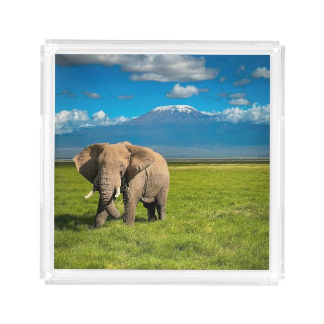 Mountains | Mount Kilimanjaro Tanzania, Africa Acrylic Tray (Front)
