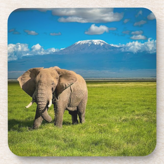 Mountains | Mount Kilimanjaro Tanzania, Africa Beverage Coaster (Front)