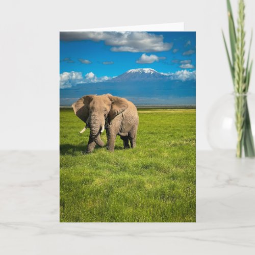 Mountains  Mount Kilimanjaro Tanzania Africa Card