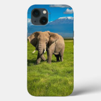 Mount Kilimanjaro Tanzania, Africa iPhone 13 Case