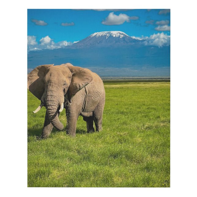 Mountains | Mount Kilimanjaro Tanzania, Africa Faux Canvas Print (Front)