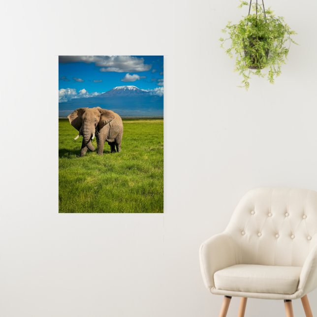 Mountains | Mount Kilimanjaro Tanzania, Africa Foam Board (In Situ (Wall))