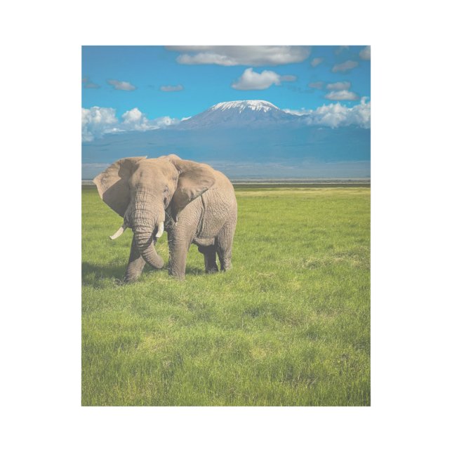 Mountains | Mount Kilimanjaro Tanzania, Africa Gallery Wrap (Front)
