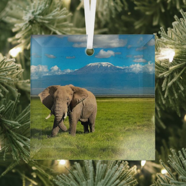 Mountains | Mount Kilimanjaro Tanzania, Africa Glass Ornament (Insitu)