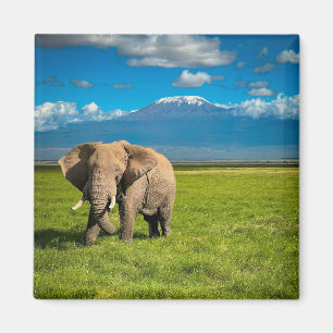 Mountains   Mount Kilimanjaro Tanzania, Africa Magnet