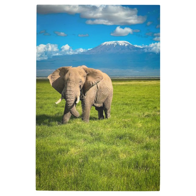 Mountains | Mount Kilimanjaro Tanzania, Africa Metal Print (Front)