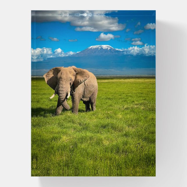 Mountains | Mount Kilimanjaro Tanzania, Africa Paperweight (Vertical)