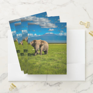 Mountains Mount Kilimanjaro Tanzania, Africa Pocket Folder