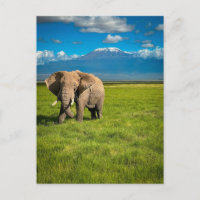 Mountains | Mount Kilimanjaro Tanzania, Africa