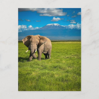 Mountains | Mount Kilimanjaro Tanzania, Africa Postcard