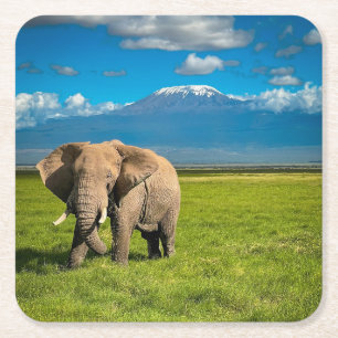 Mountains Mount Kilimanjaro Tanzania, Africa Square Paper Coaster