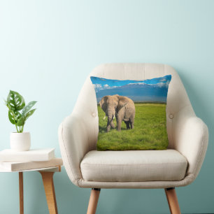 Mountains Mount Kilimanjaro Tanzania, Africa Throw Pillow