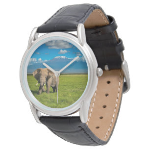 Mountains   Mount Kilimanjaro Tanzania, Africa Watch